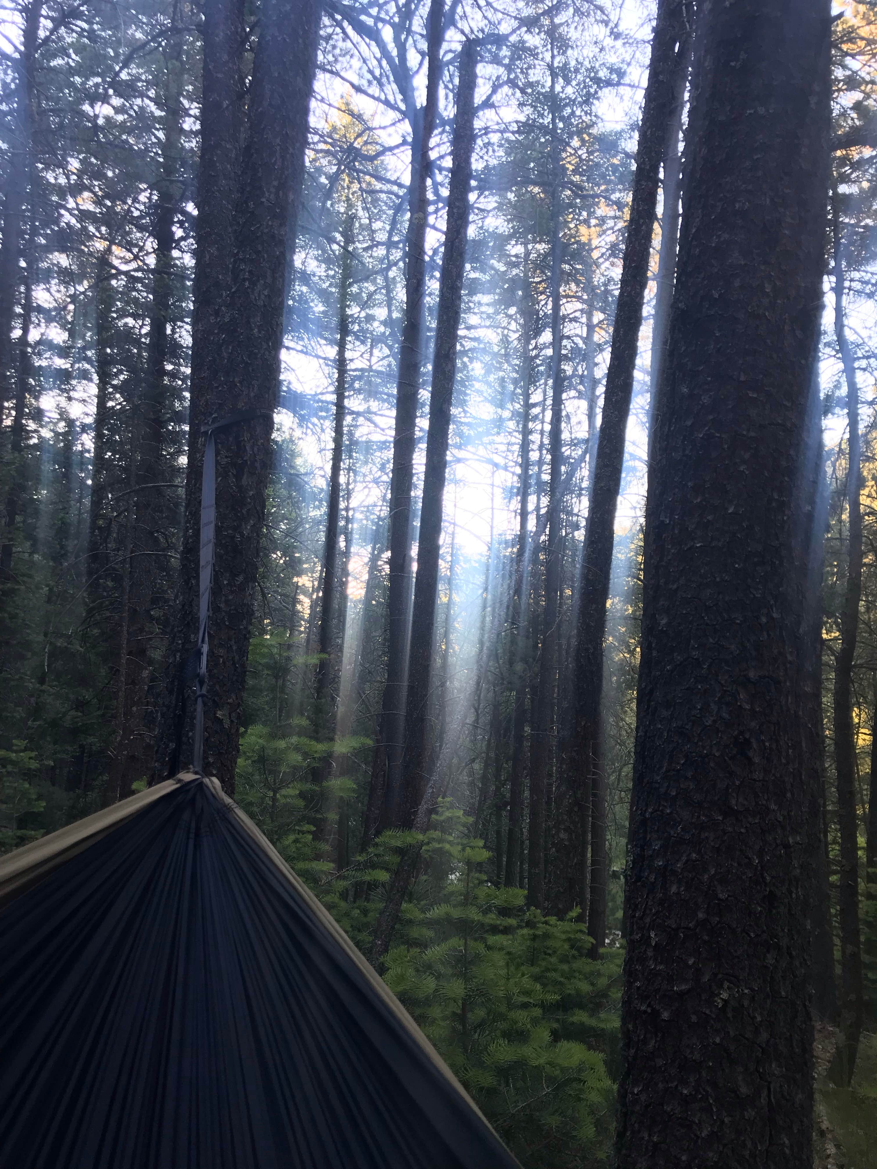 Camper submitted image from Upper Bonito Dispersed Recreation Area - 3