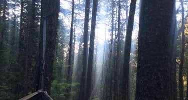 Upper Bonito Dispersed Recreation Area