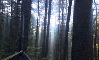 Adrian E.'s photo of a dispersed camping area at Upper Bonito Dispersed Recreation Area near Carrizozo, NM