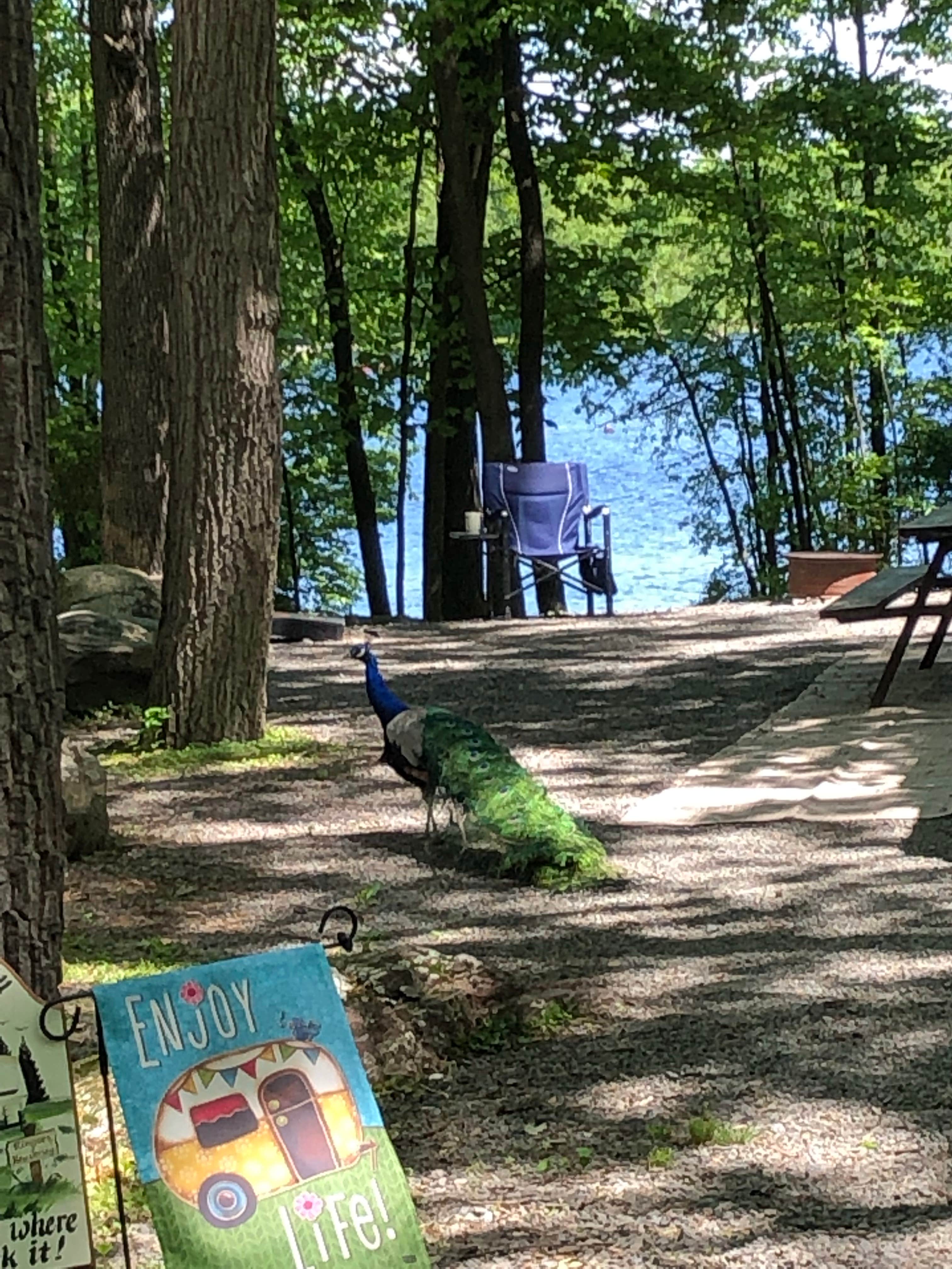 Camper-submitted photo at Otter Lake Camp Resort near Skytop, PA