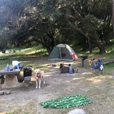 Review photo of Paradise Campground by Austin C., May 28, 2019