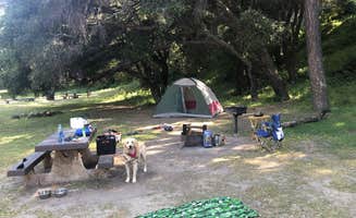 Austin C.'s photo of camping with pets at Paradise Campground near Los Padres National Forest