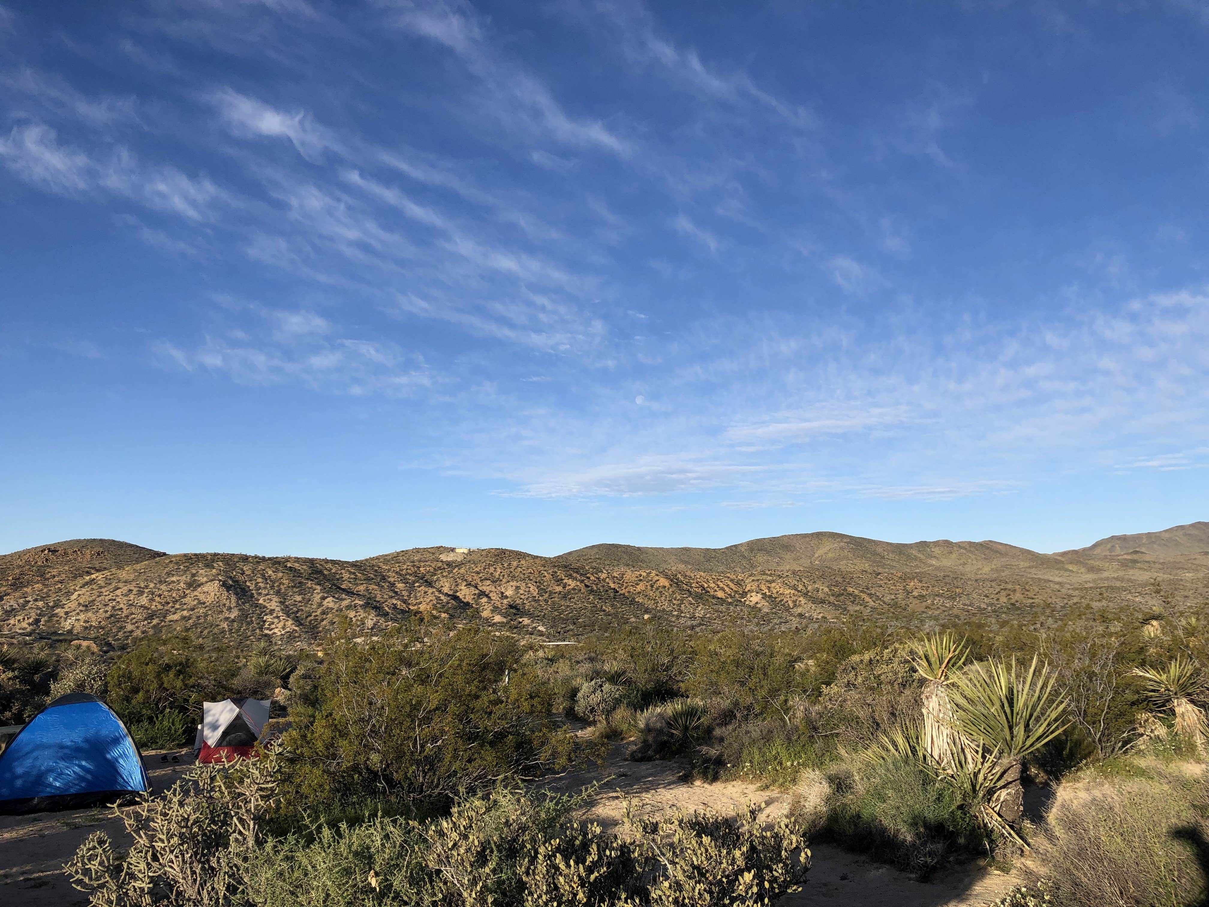 Camper-submitted photo at Cottonwood Campground — Joshua Tree National Park near Thermal, CA