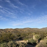 Review photo of Cottonwood Campground — Joshua Tree National Park by Austin C., May 28, 2019