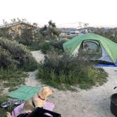 Review photo of Cottonwood Campground — Joshua Tree National Park by Austin C., May 28, 2019