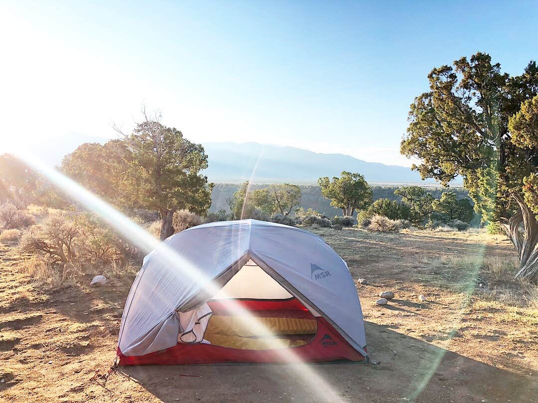 Camper submitted image from Montoso Campground - 5