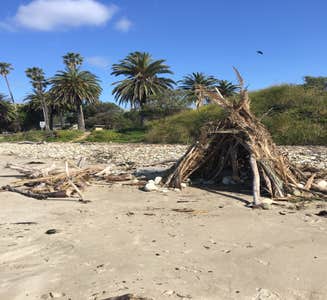 Camper-submitted photo from Refugio State Beach Campground — TEMPORARILY CLOSED