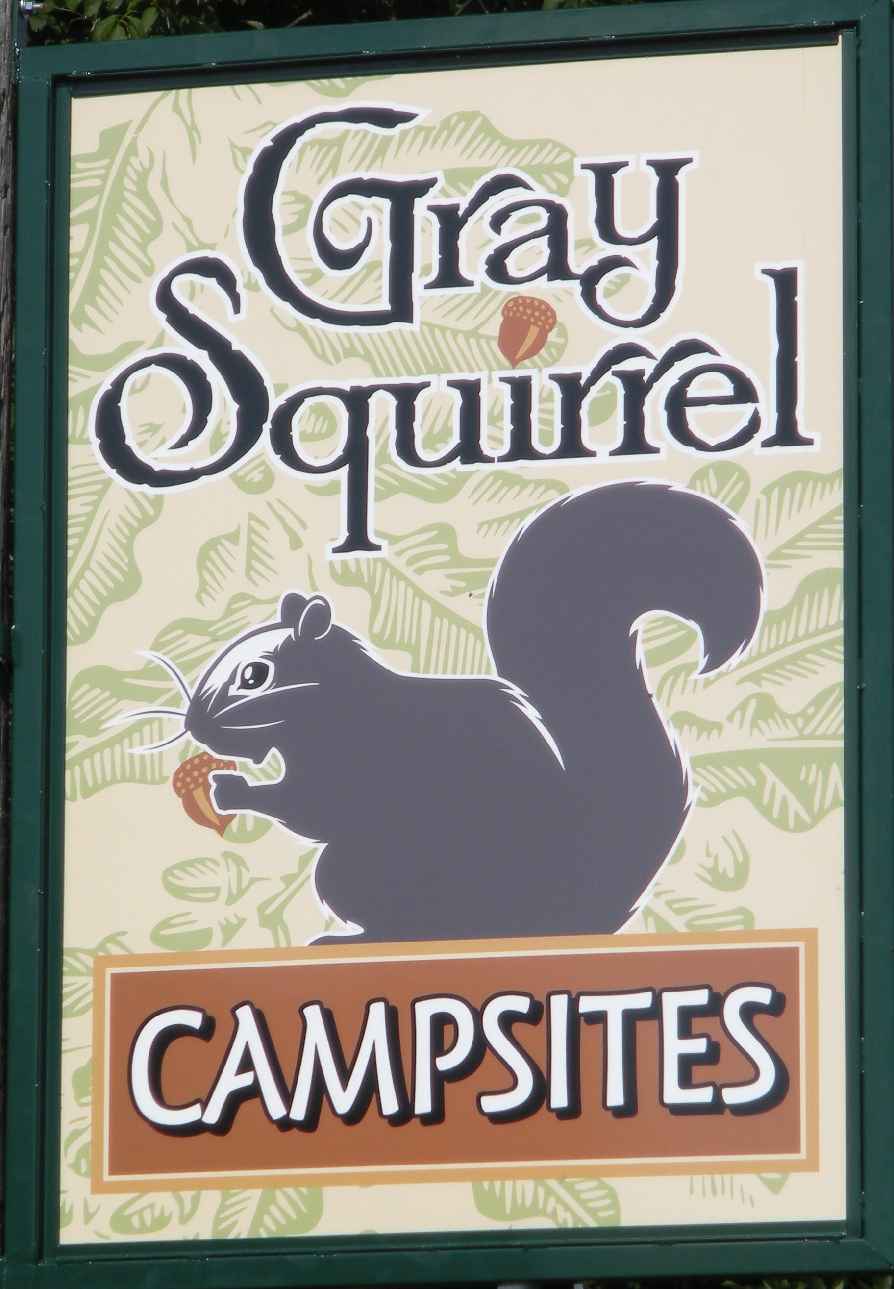 Camper submitted image from Gray Squirrel Campsites - 5