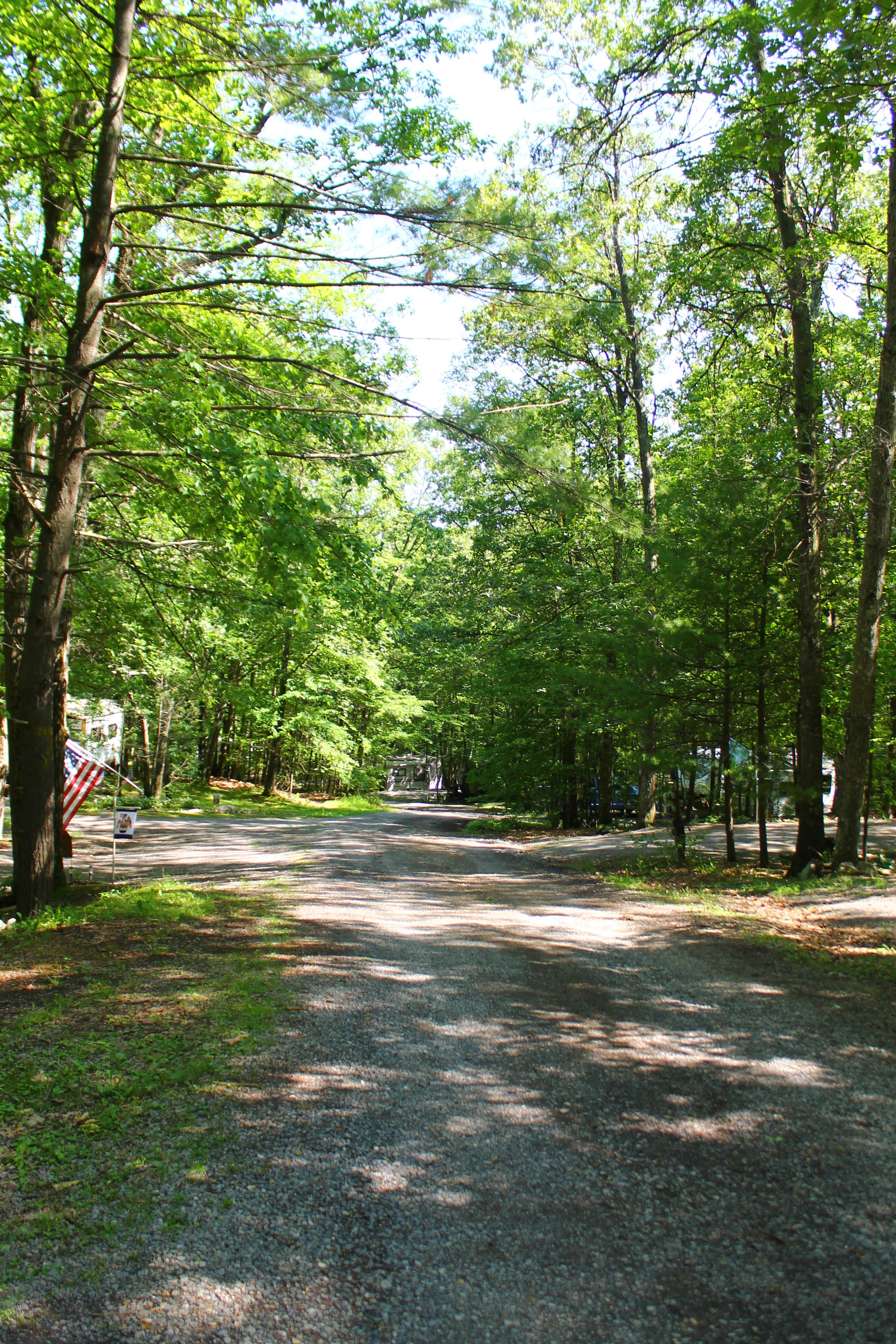 Camper-submitted photo at Gray Squirrel Campsites near Vicksburg, PA