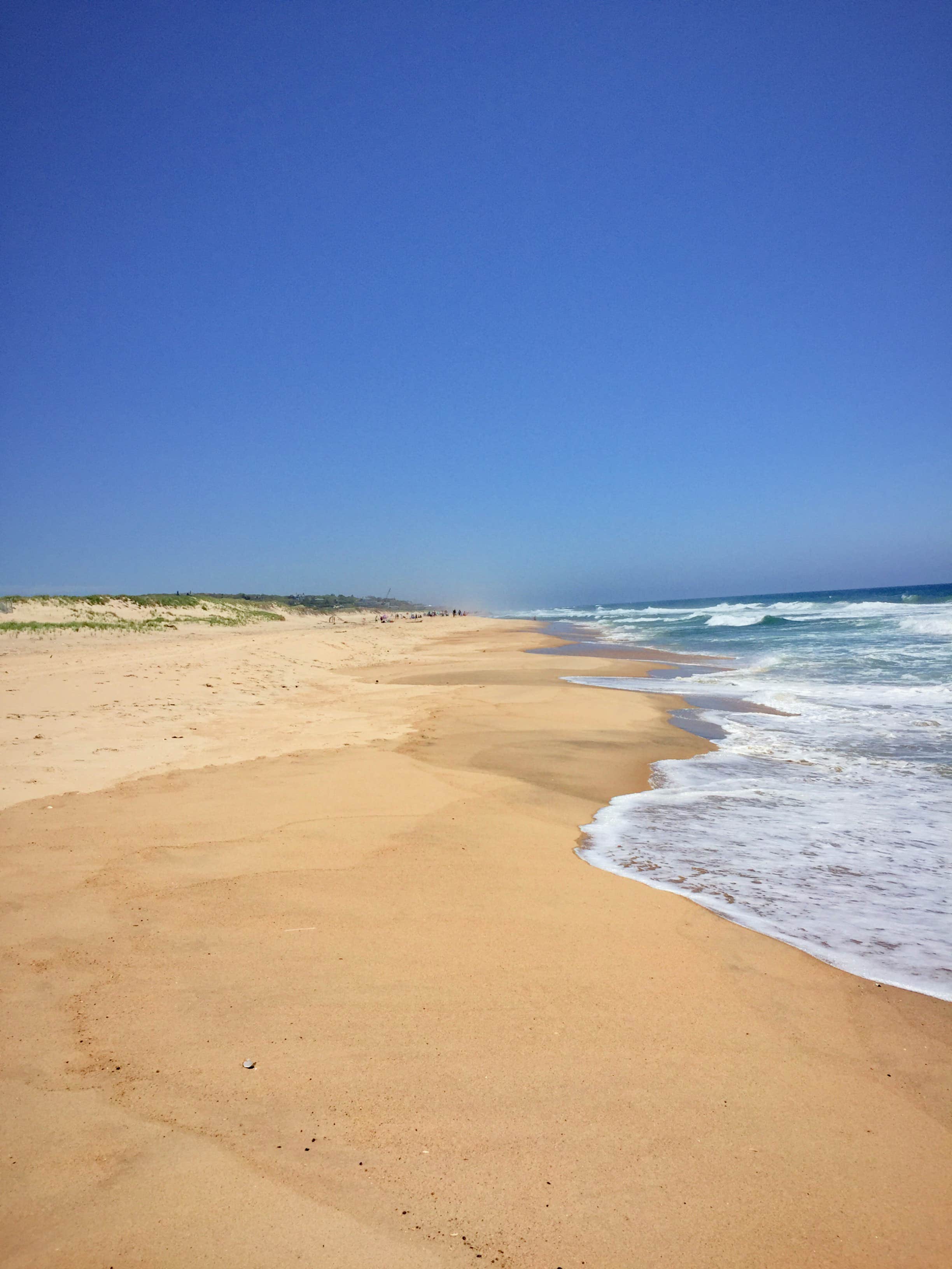 Camper-submitted photo at Hither Hills State Park Campground near Block Island, RI