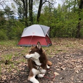 Review photo of Reedsburg Dam State Forest Campground by Drew J., May 28, 2019