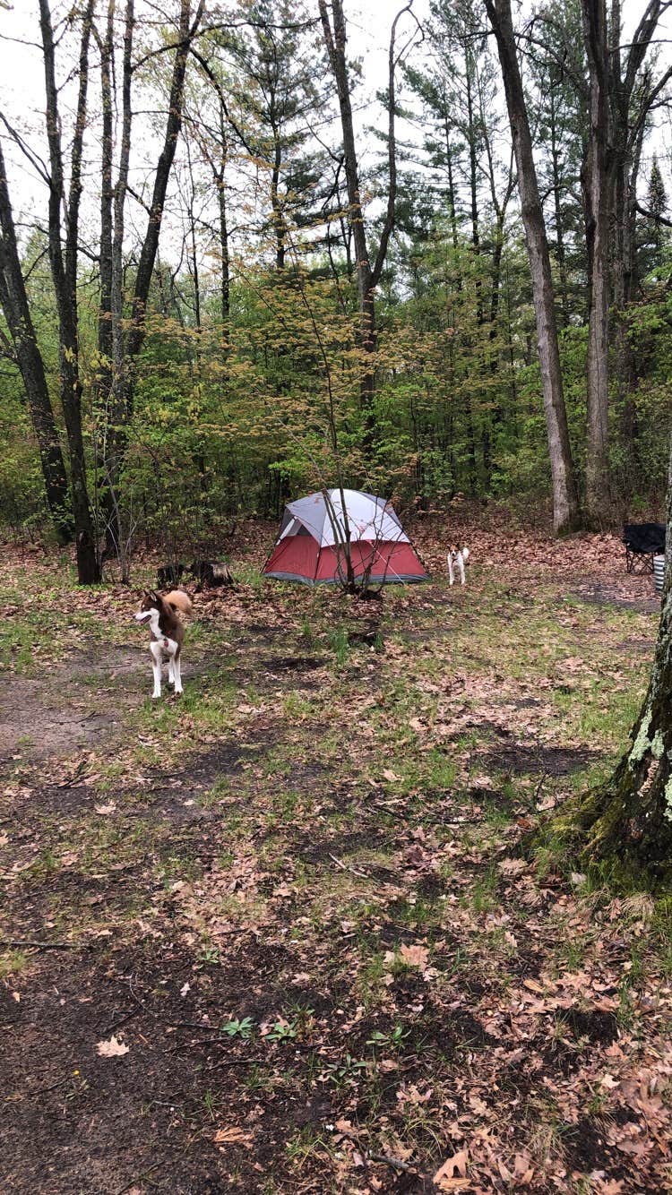 Camper-submitted photo at Reedsburg Dam State Forest Campground near Prudenville, MI