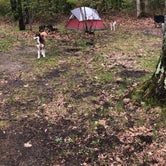 Review photo of Reedsburg Dam State Forest Campground by Drew J., May 28, 2019