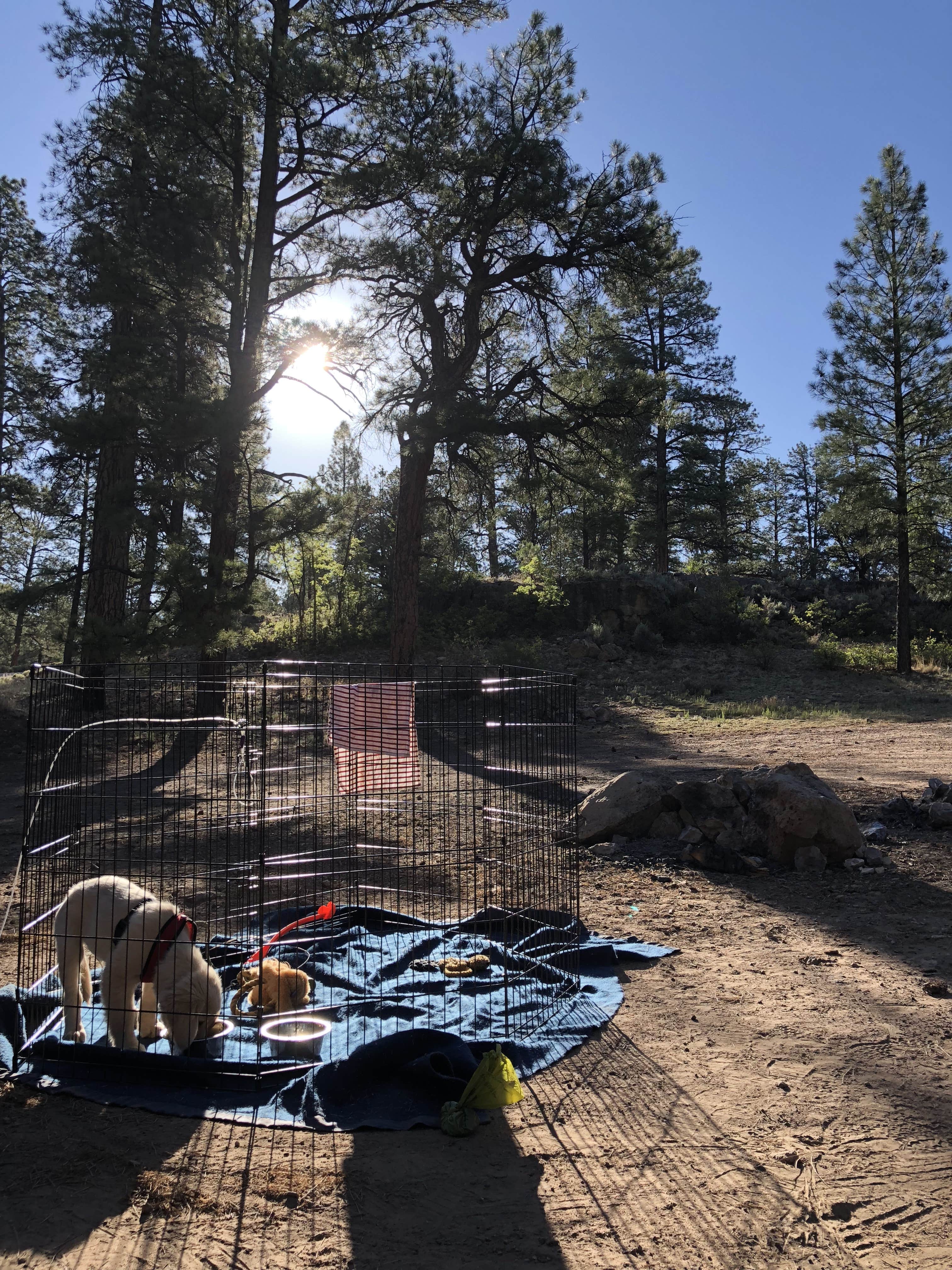 Camper-submitted photo at Forest Service Road 328 Dispersed in Arizona