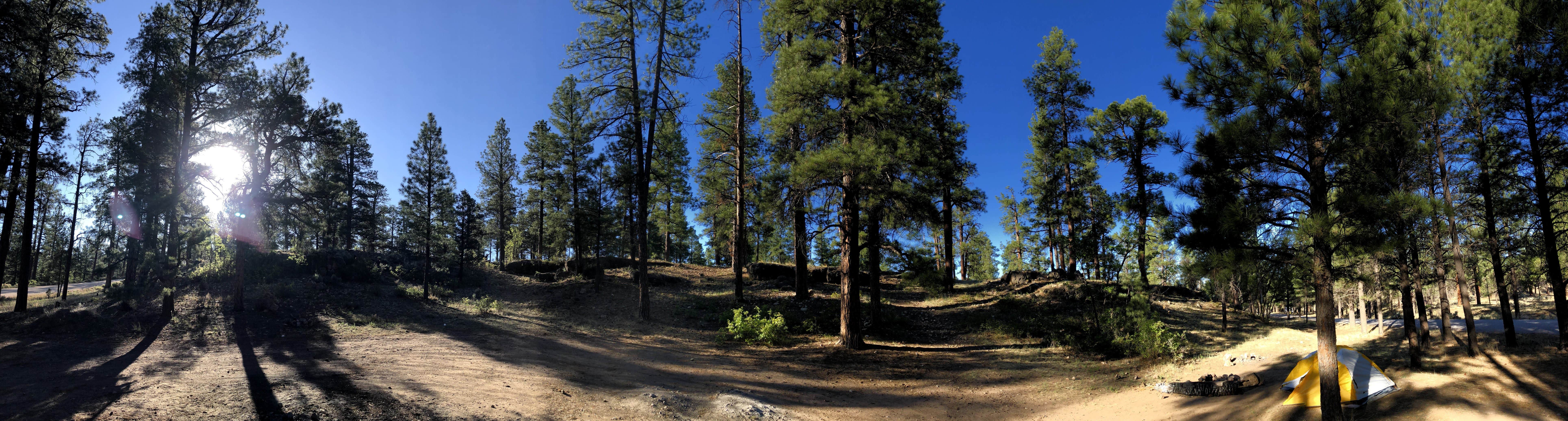 Camper-submitted photo at Forest Service Road 328 Dispersed in Arizona