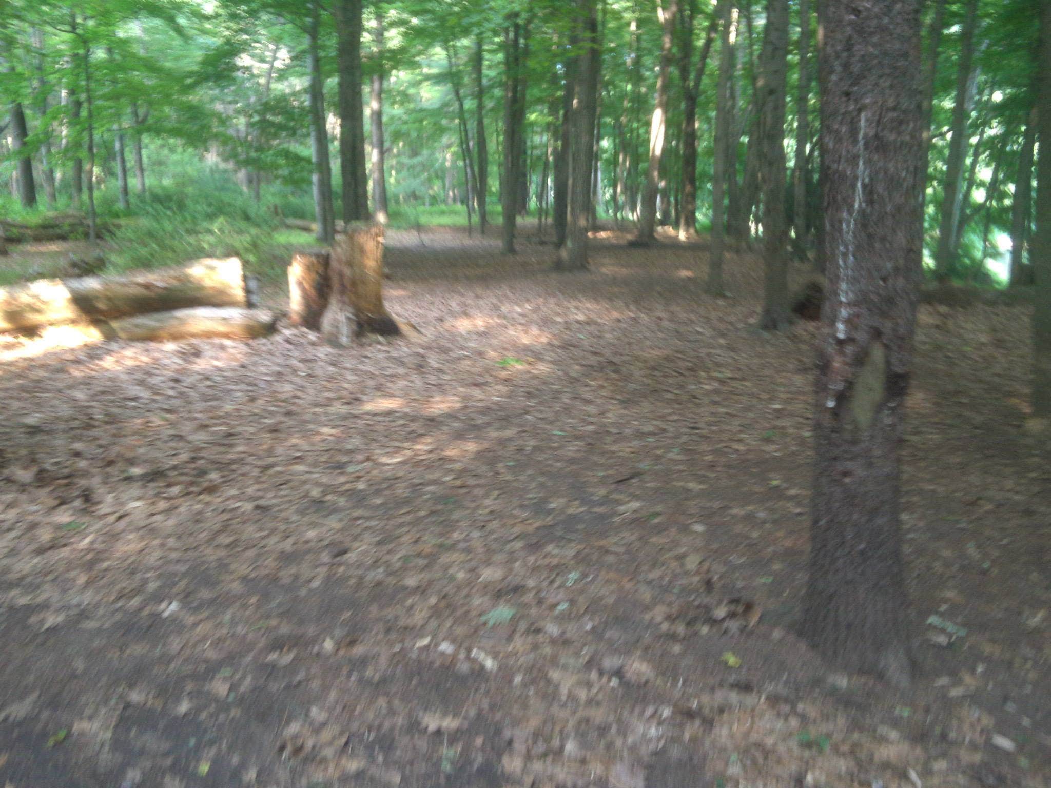 Camper submitted image from Peters River Campsites — Delaware Water Gap National Recreation Area - 2