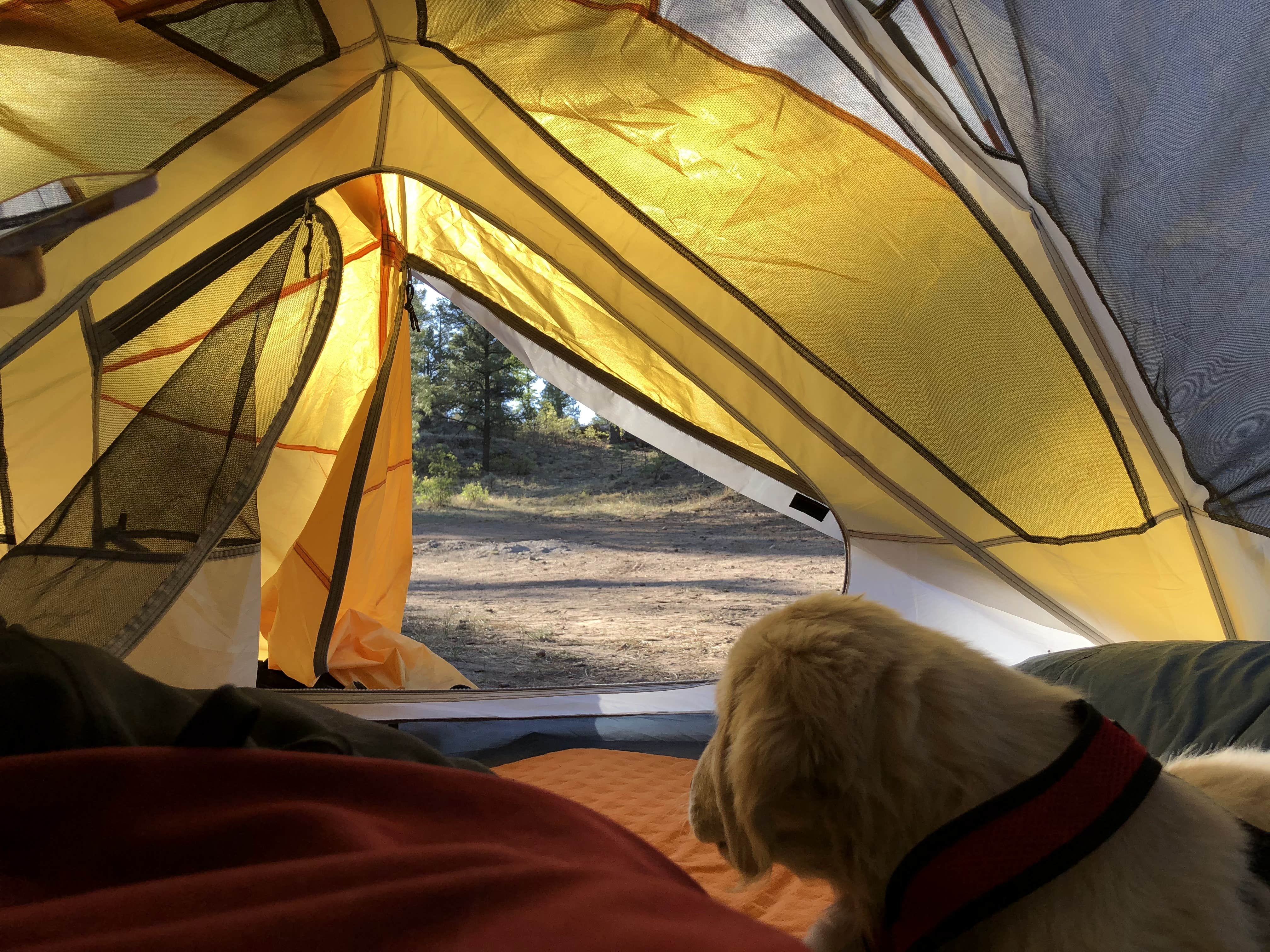 Camper-submitted photo at Forest Service Road 328 Dispersed in Arizona