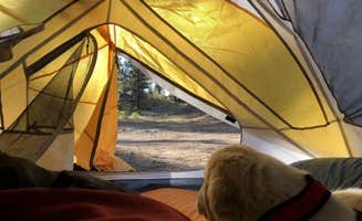 Austin C.'s photo of a dispersed camping area at Forest Service Road 328 Dispersed in Arizona