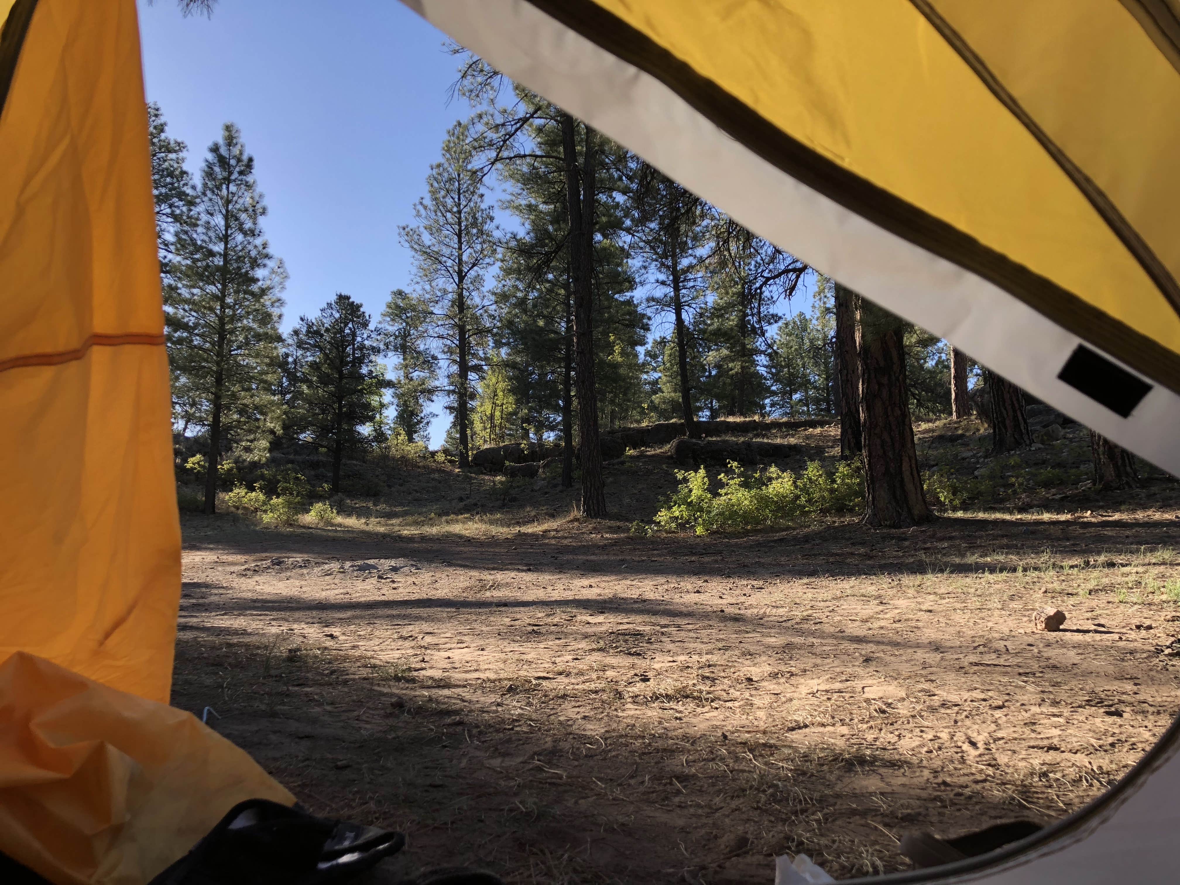 Forest Service Road 328 Dispersed