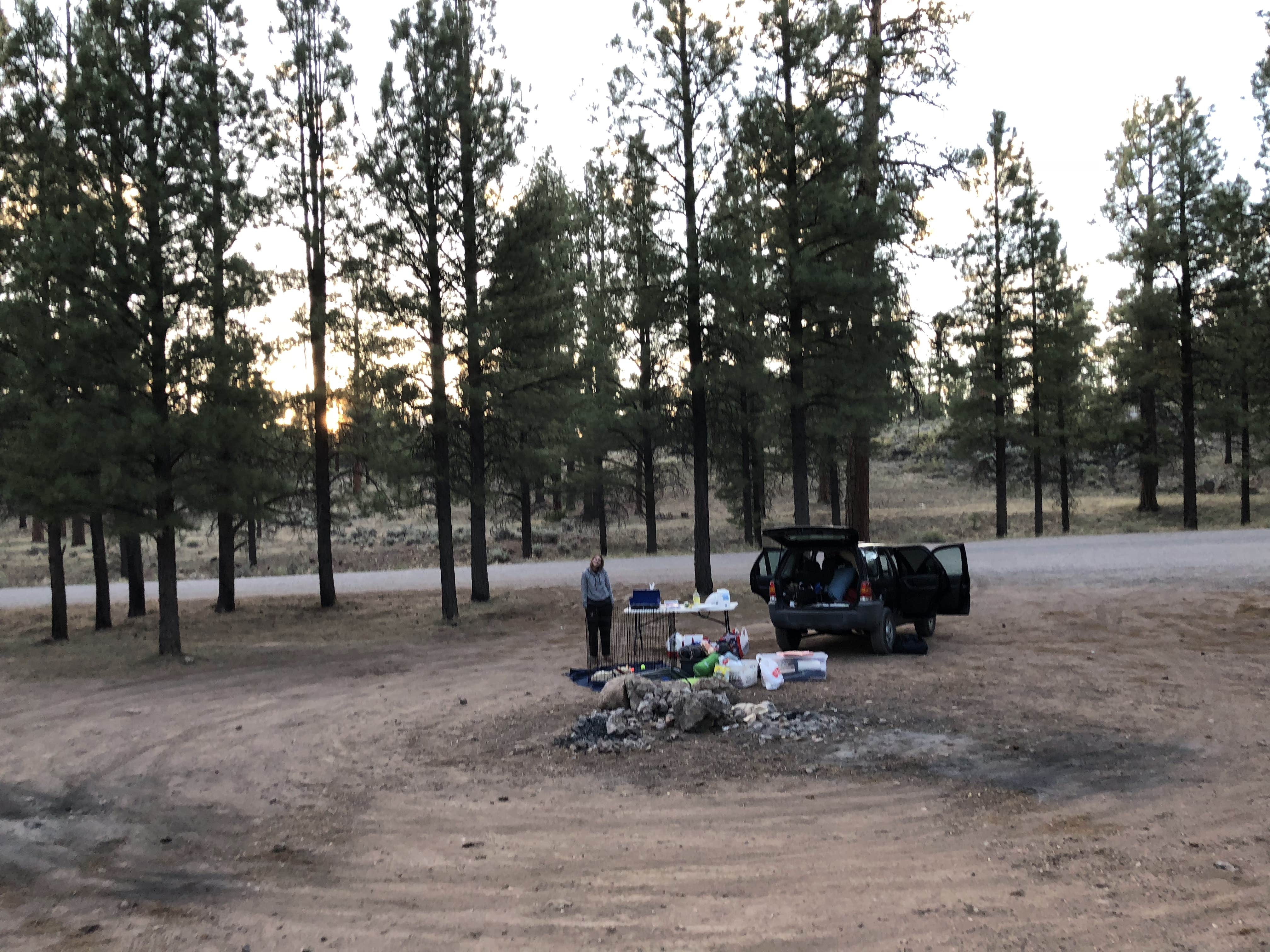 Camper-submitted photo at Forest Service Road 328 Dispersed in Arizona