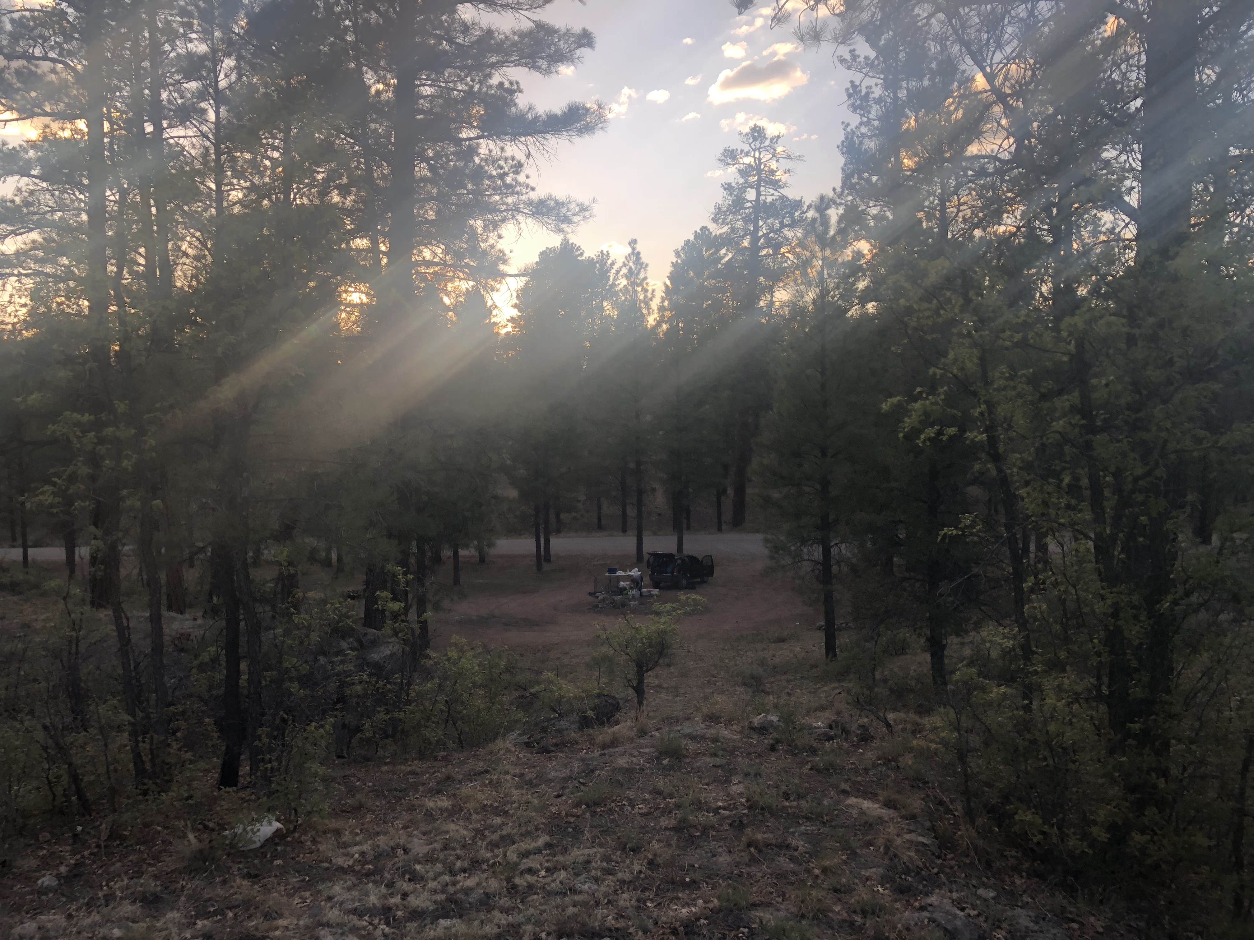 Forest Service Road 328 Dispersed