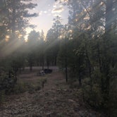 Review photo of Forest Service Road 328 Dispersed by Austin C., May 28, 2019
