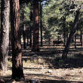 Review photo of Mather Campground — Grand Canyon National Park by Austin C., May 28, 2019