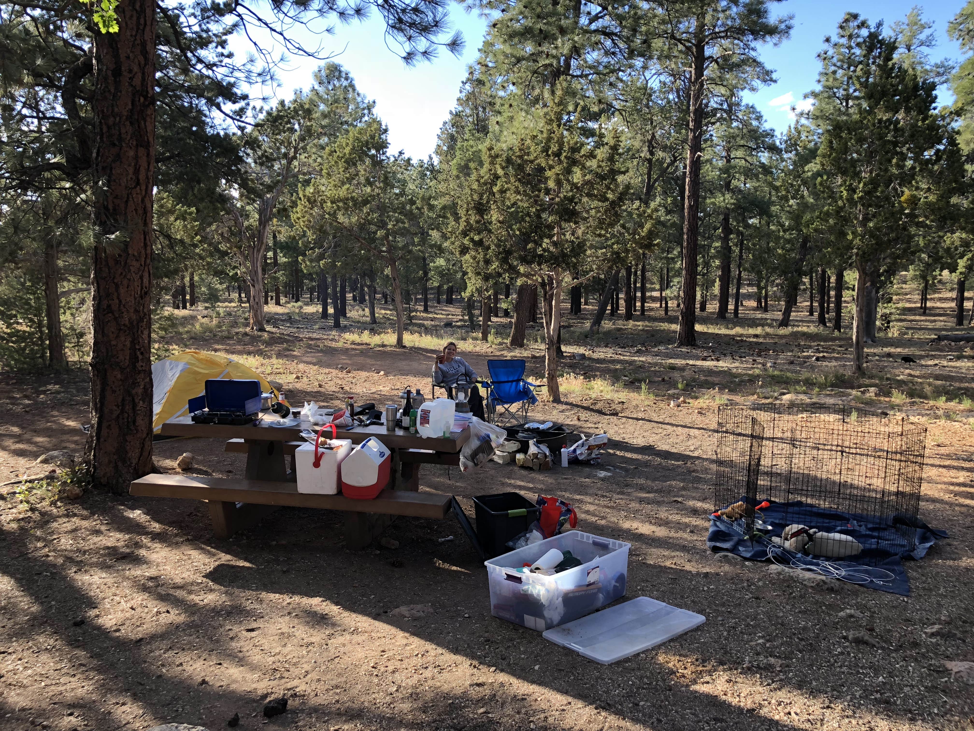 Austin C.'s photo at Mather Campground — Grand Canyon National Park near Supai, AZ
