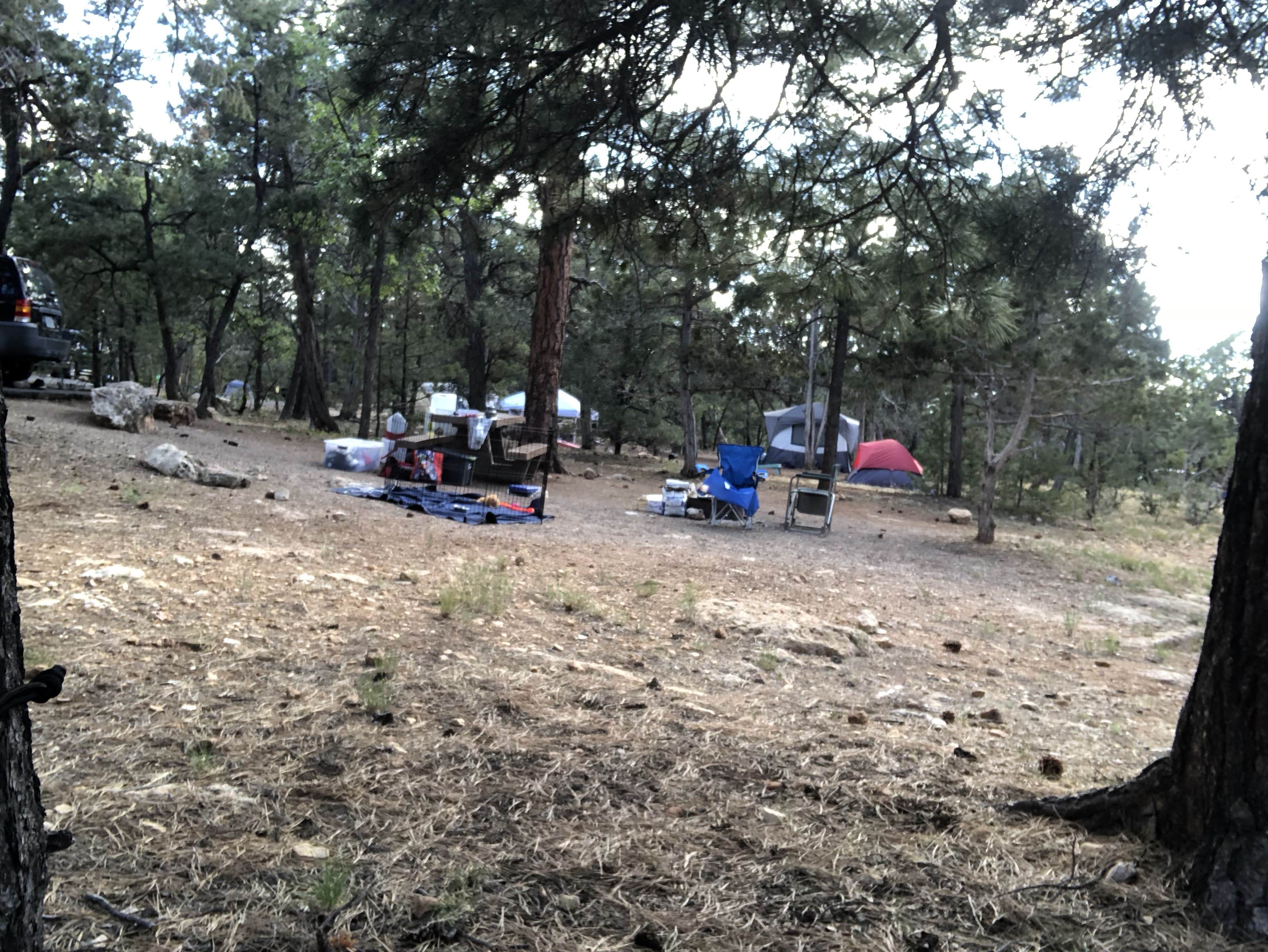 Austin C.'s photo at Mather Campground — Grand Canyon National Park near North Rim, AZ