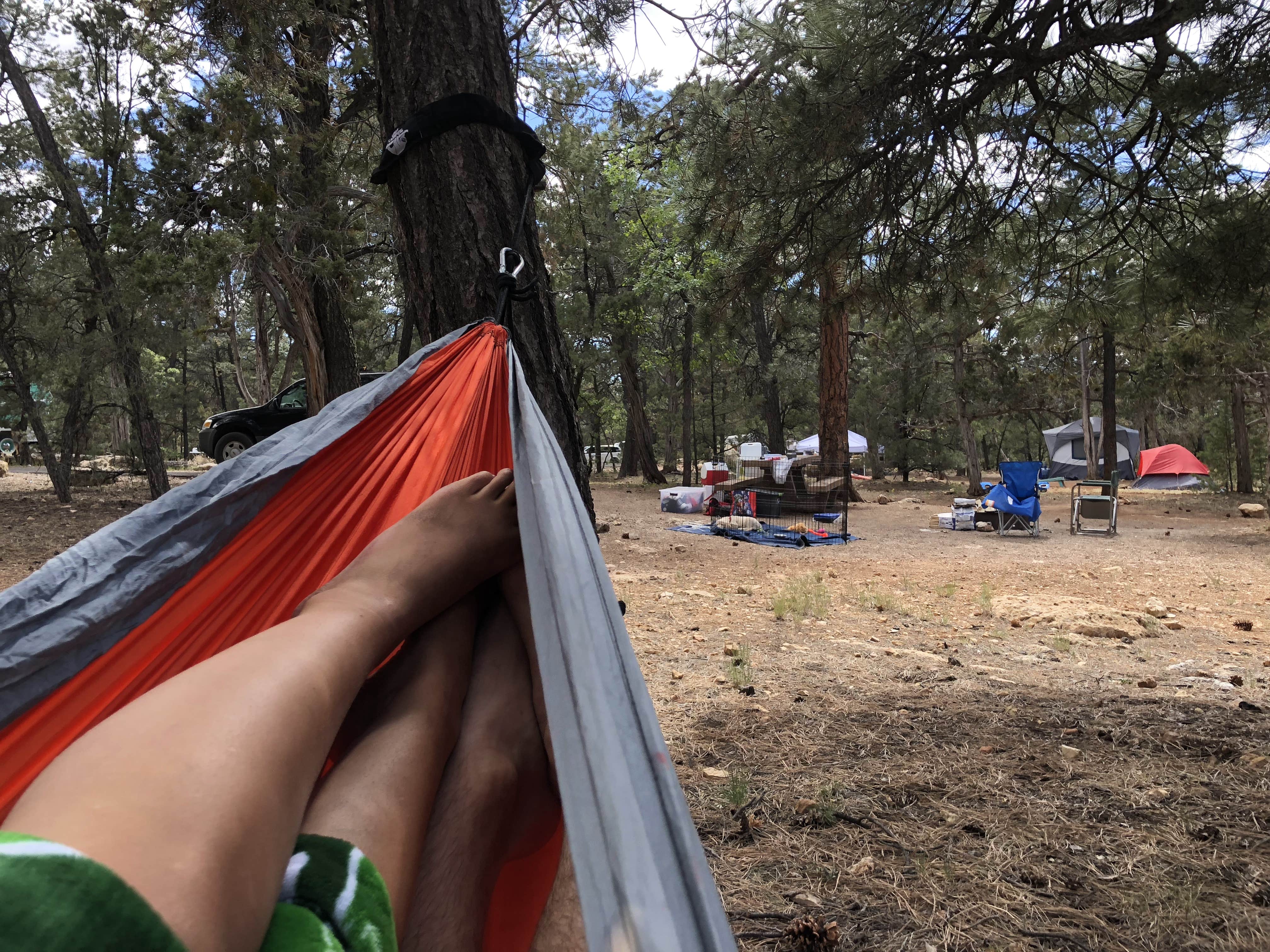 Austin C.'s photo at Mather Campground — Grand Canyon National Park near Grand Canyon National Park
