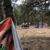 Review photo of Mather Campground — Grand Canyon National Park by Austin C., May 28, 2019