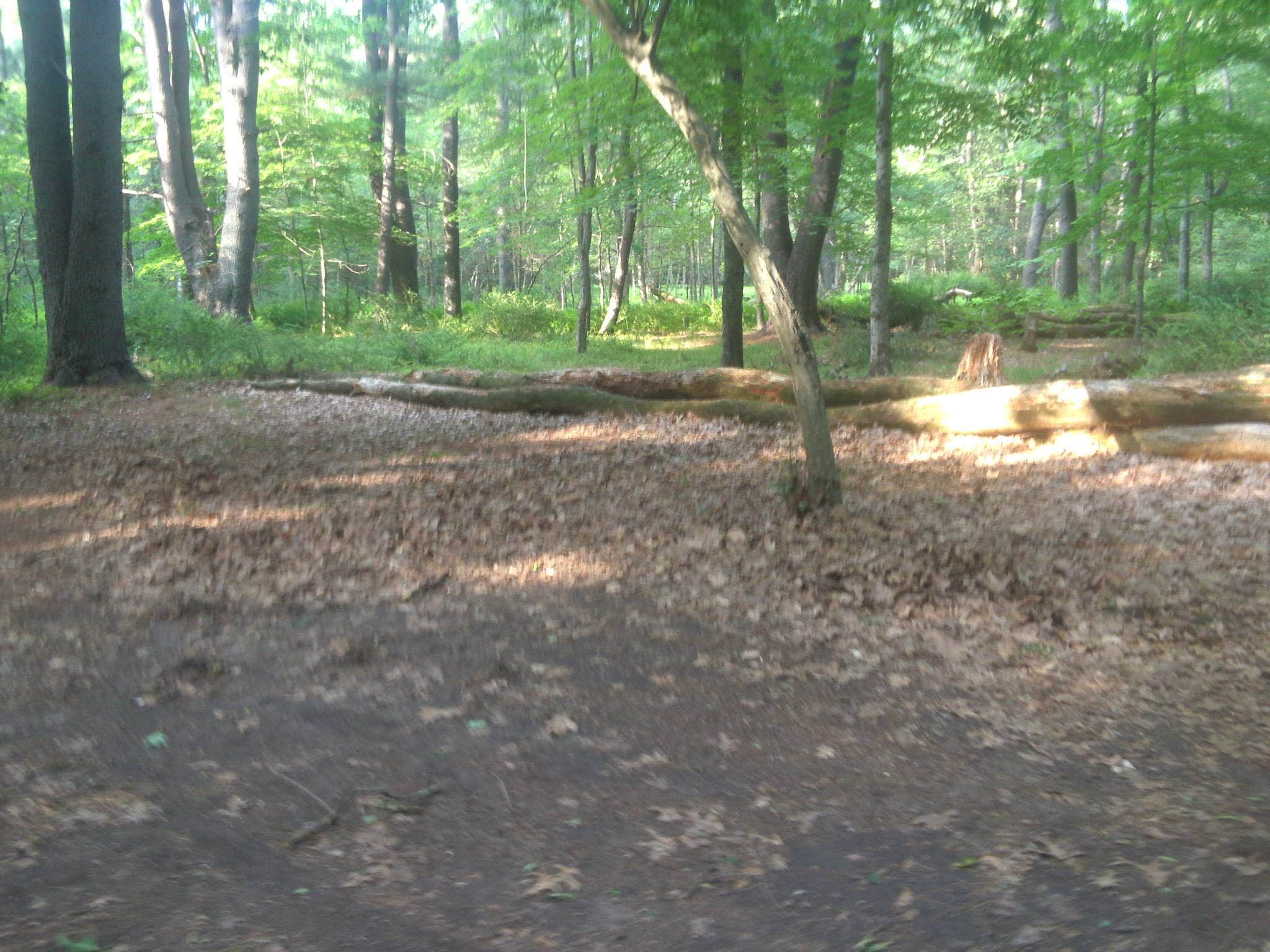 Camper submitted image from Peters River Campsites — Delaware Water Gap National Recreation Area - 3