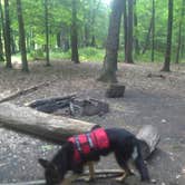 Review photo of Peters River Campsites — Delaware Water Gap National Recreation Area by John B., August 30, 2016