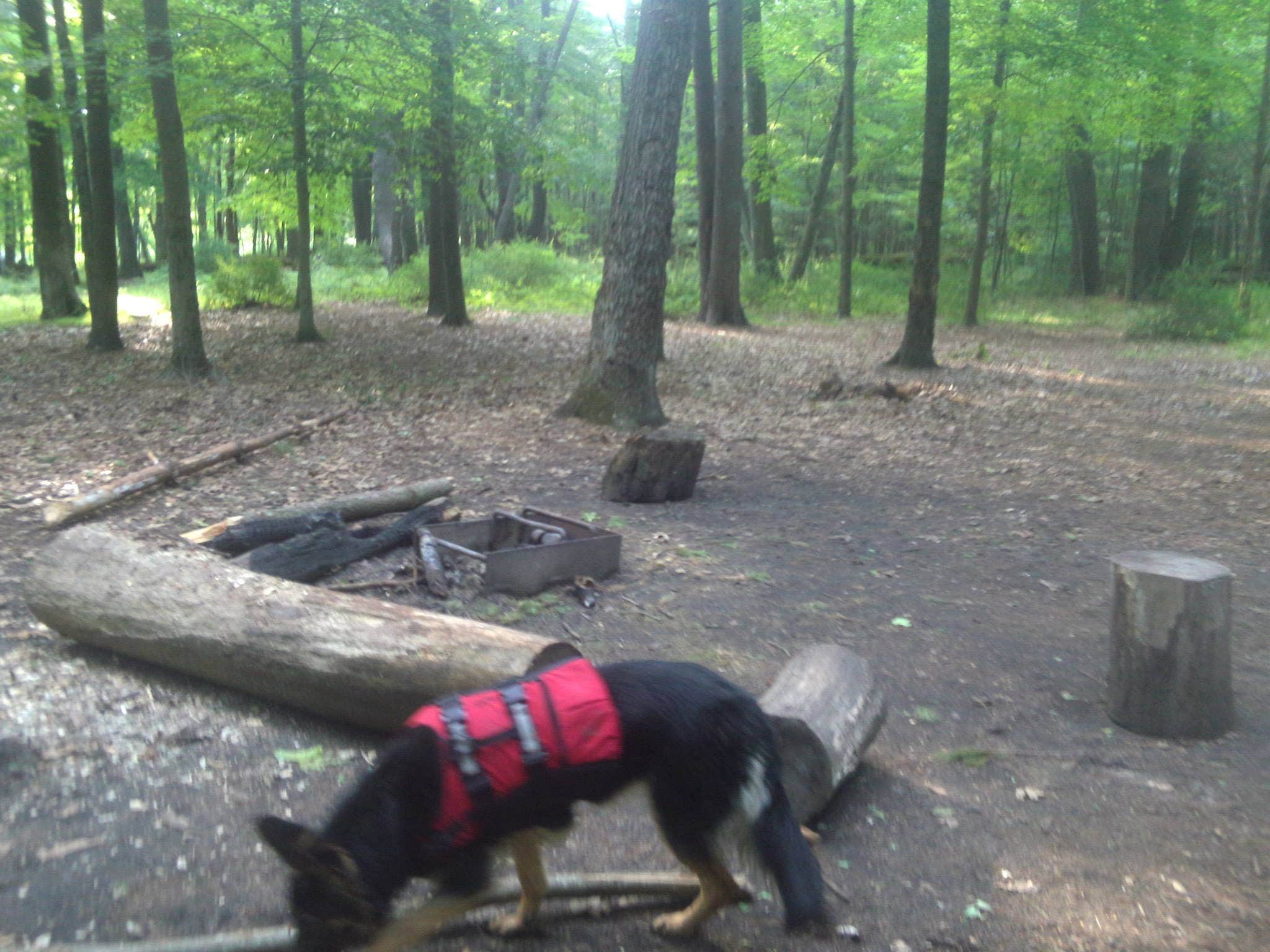 Camper submitted image from Peters River Campsites — Delaware Water Gap National Recreation Area - 5