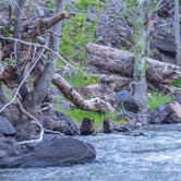 Review photo of White Crossing Camping along the Black River by Jason T., May 28, 2019