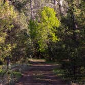 Review photo of White Crossing Camping along the Black River by Jason T., May 28, 2019