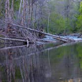 Review photo of White Crossing Camping along the Black River by Jason T., May 28, 2019