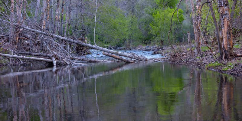 Camper submitted image from White Crossing Camping along the Black River