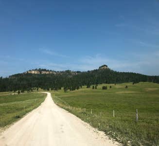 Camper-submitted photo from Custer Trail