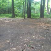 Review photo of Peters River Campsites — Delaware Water Gap National Recreation Area by John B., August 30, 2016