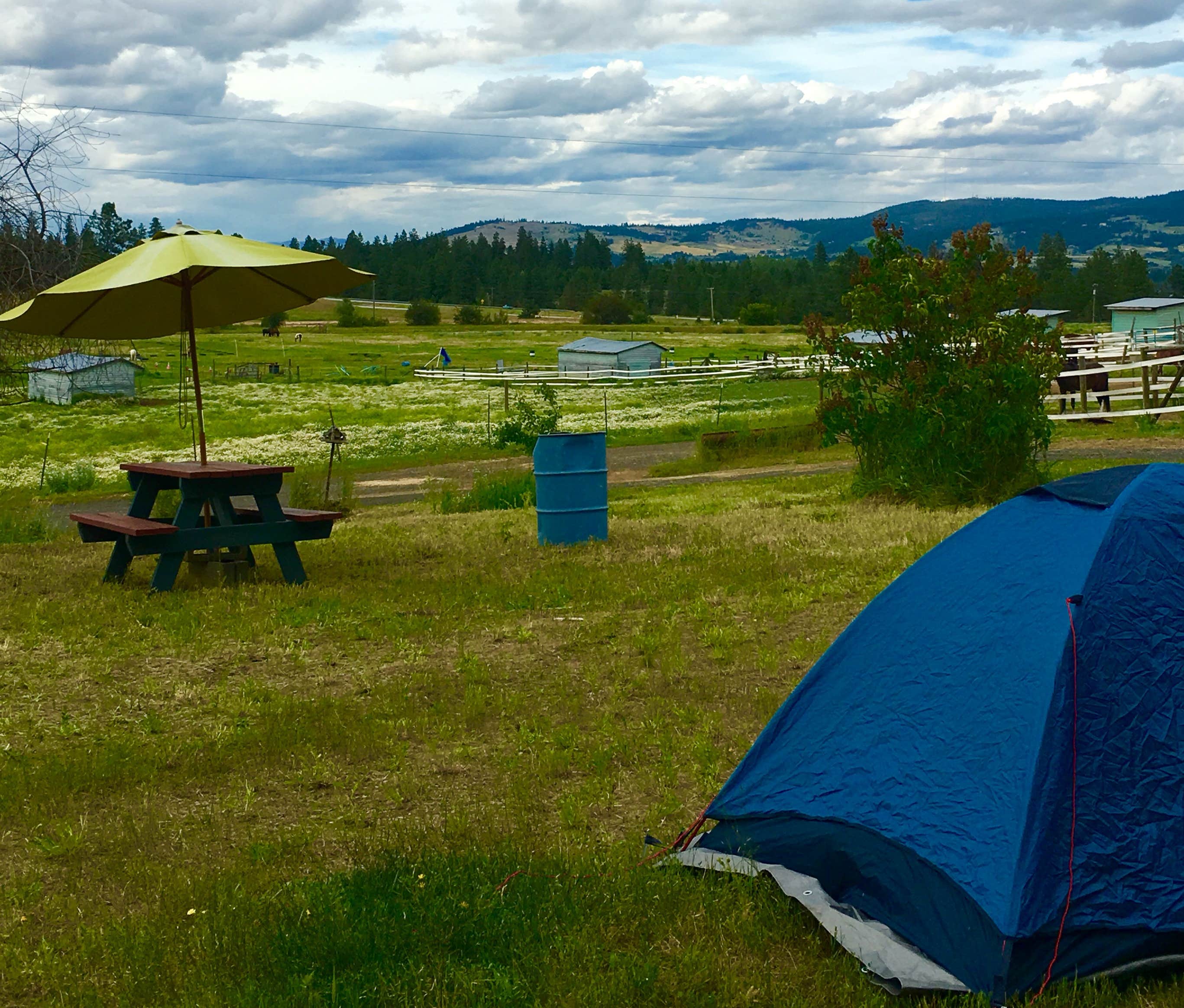 Jennifer B.'s photo at 5 Authentic Barn Campsites near St. John, WA