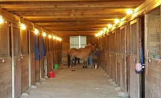 Jennifer B.'s photo of camping with a horse at 5 Authentic Barn Campsites near Harrison, ID
