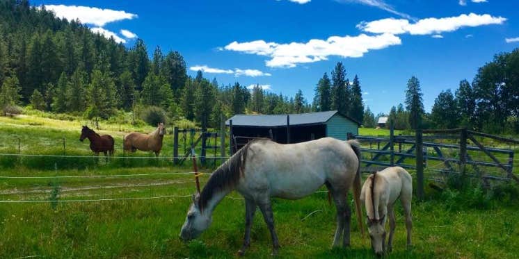 Camper submitted image from 5 Authentic Barn Campsites