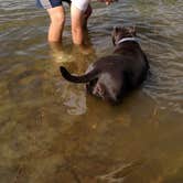 Review photo of Wilson State Fishing Lake by Carter W., August 30, 2016