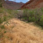 Review photo of Oak Grove Campground by Julianne  M., May 28, 2019