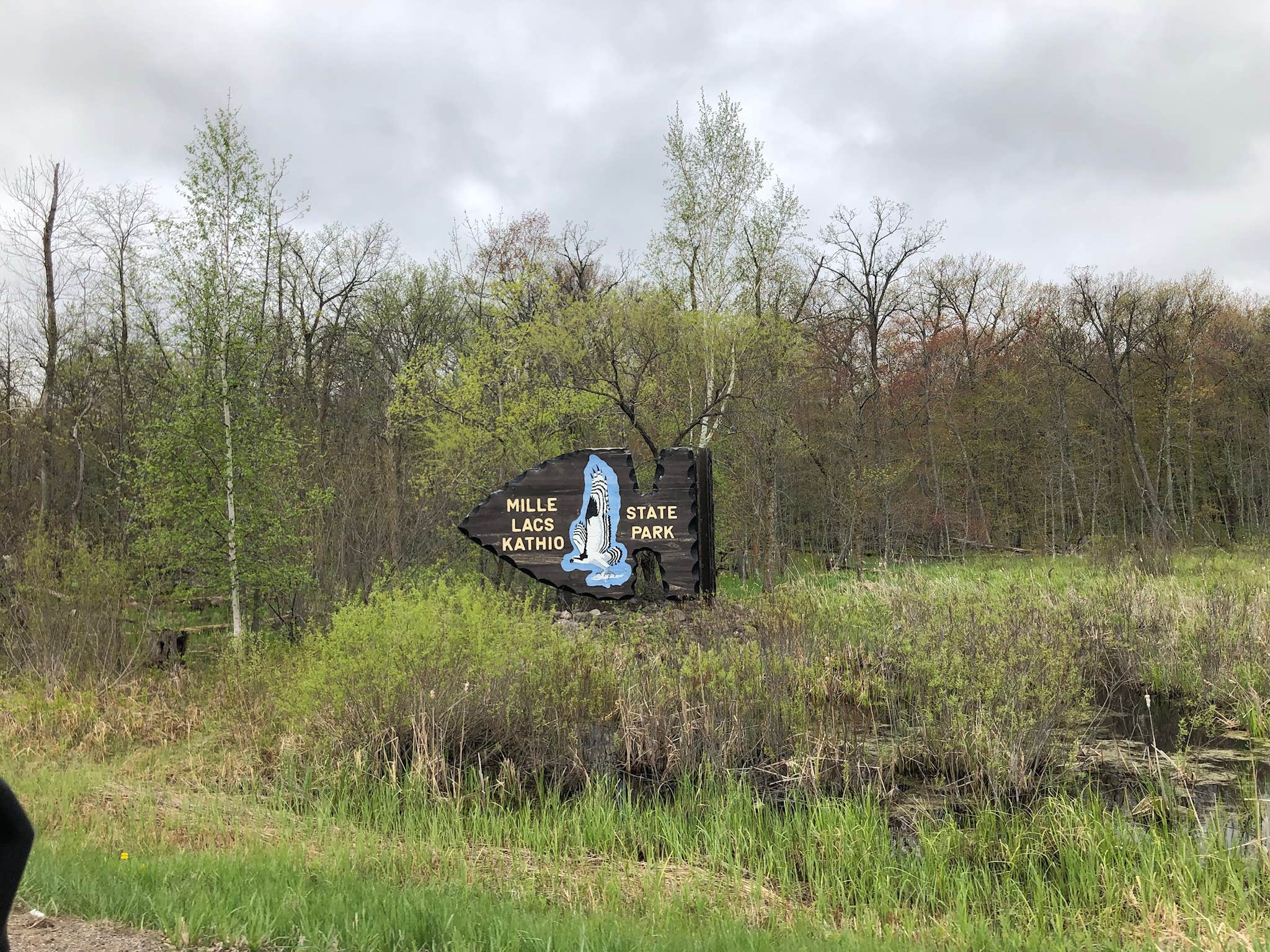 Camper submitted image from Mille Lacs Kathio Petaga Campground — Mille Lacs Kathio State Park - 5