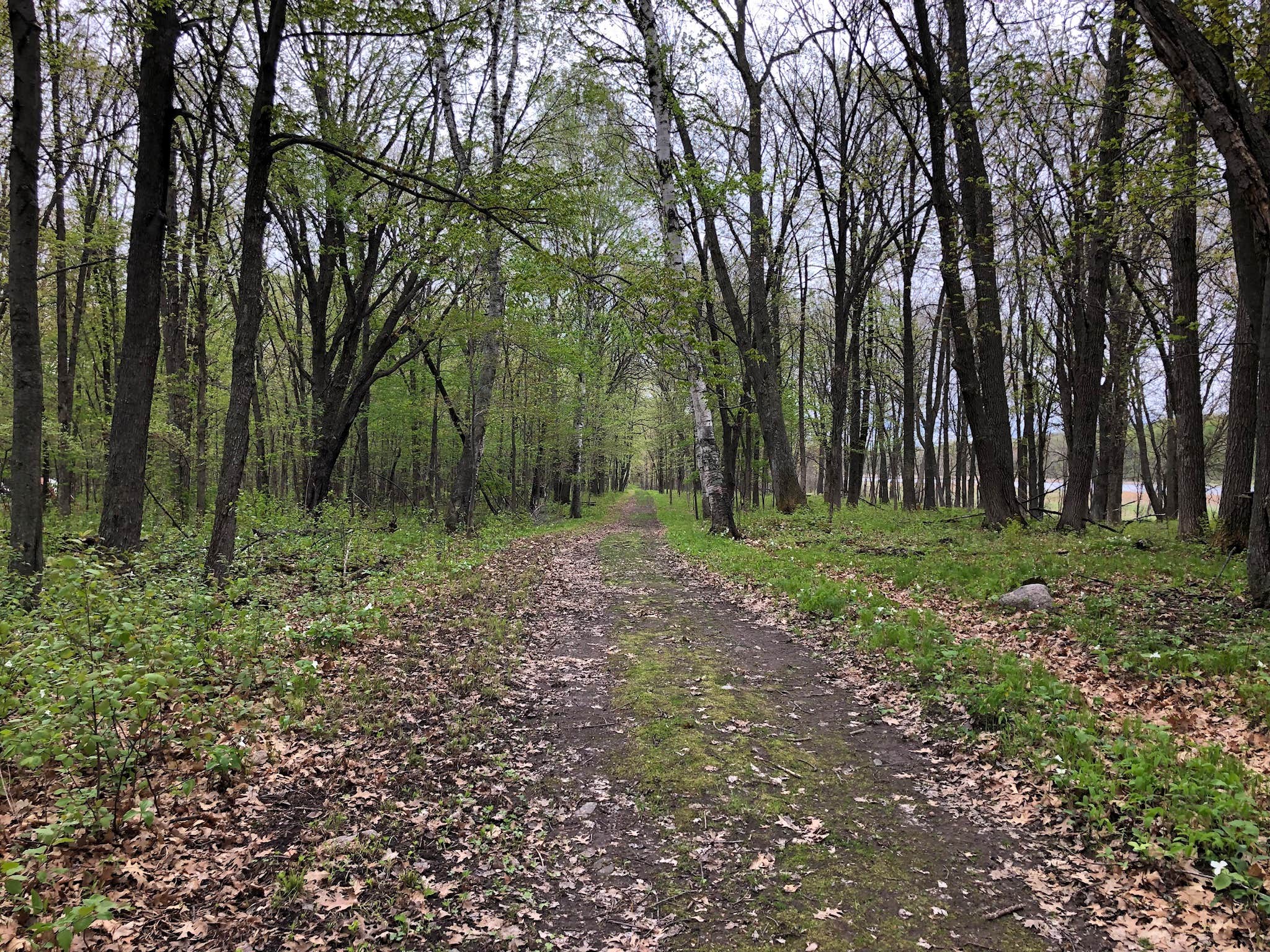 Camper submitted image from Mille Lacs Kathio Petaga Campground — Mille Lacs Kathio State Park - 4