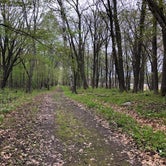 Review photo of Mille Lacs Kathio Petaga Campground — Mille Lacs Kathio State Park by Brian C., May 28, 2019