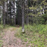 Review photo of Mille Lacs Kathio Petaga Campground — Mille Lacs Kathio State Park by Brian C., May 28, 2019