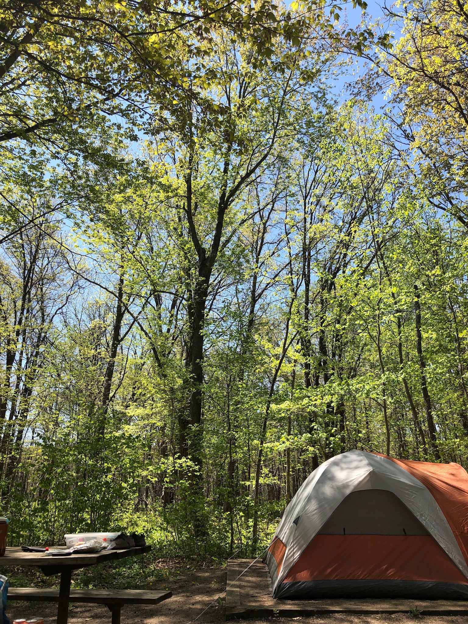 Camper submitted image from Mille Lacs Kathio Petaga Campground — Mille Lacs Kathio State Park - 4